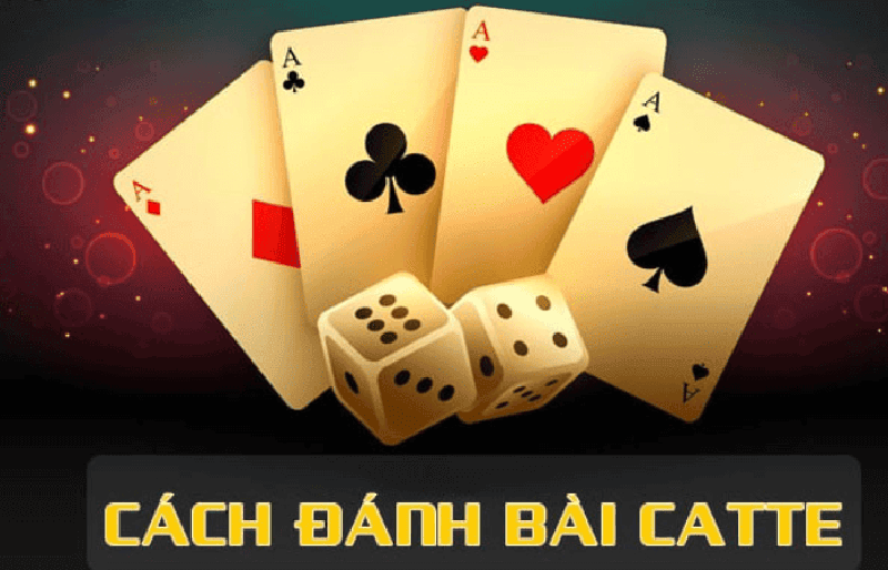 Hướng dẫn luật chơi catte từ A-Z cực đơn giản 