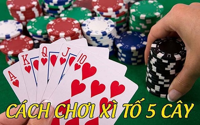 Quyền hành động khi chơi Xì tố